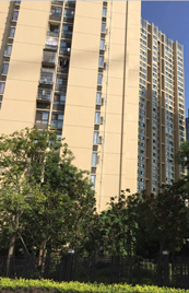 房屋建筑项目三