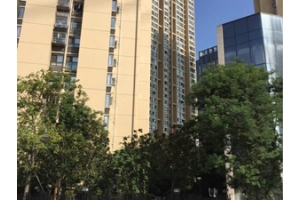房屋建筑项目三