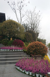 泸州佳乐世纪城欢乐汇二期及前广场室外景观工程