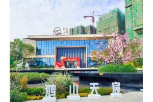 自贡鸿山·天宸一期中庭示范区景观工程