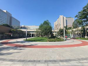 四川大学华西医院景观绿化改造工程