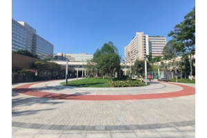 四川大学华西医院景观绿化改造工程